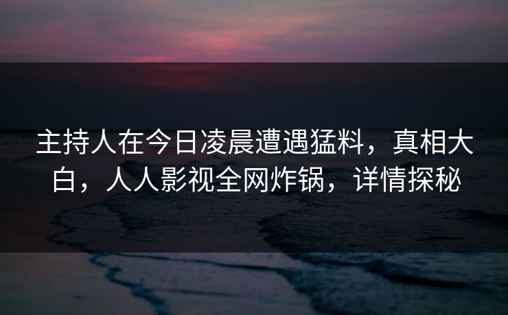 主持人在今日凌晨遭遇猛料，真相大白，人人影视全网炸锅，详情探秘