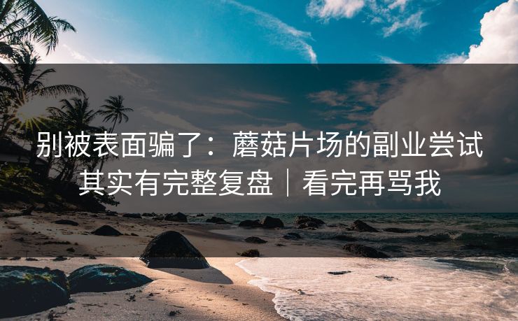 别被表面骗了：蘑菇片场的副业尝试其实有完整复盘｜看完再骂我
